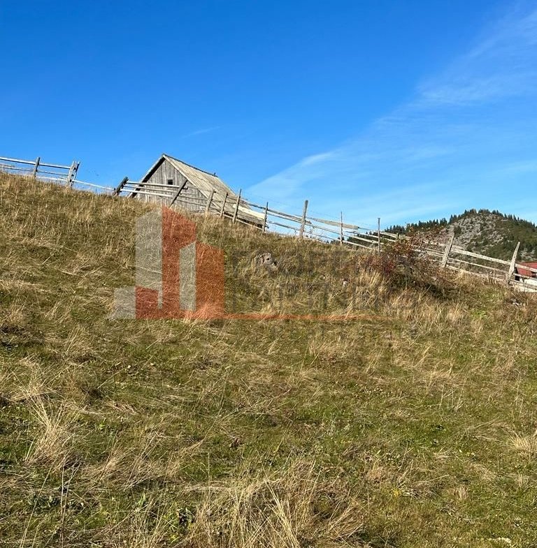 Teren Fundatica intravilan 4500 mp
