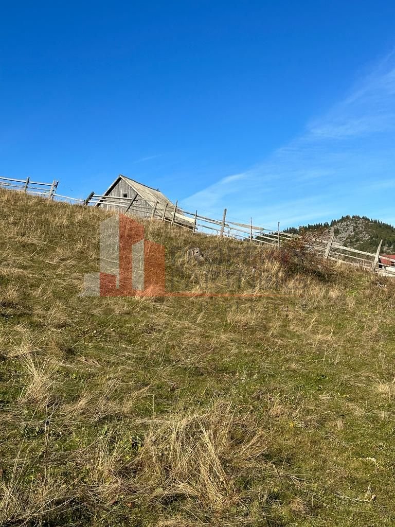 Teren Fundatica intravilan 4500 mp