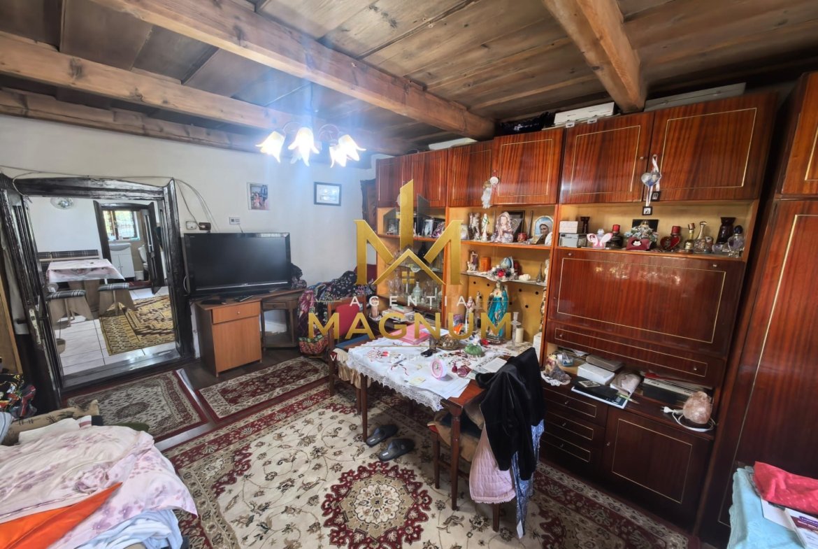 Casă P+M de vânzare | 450 mp teren | Centru Baia Sprie