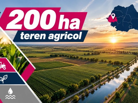 200 ha teren agricol de vanzare in Arad