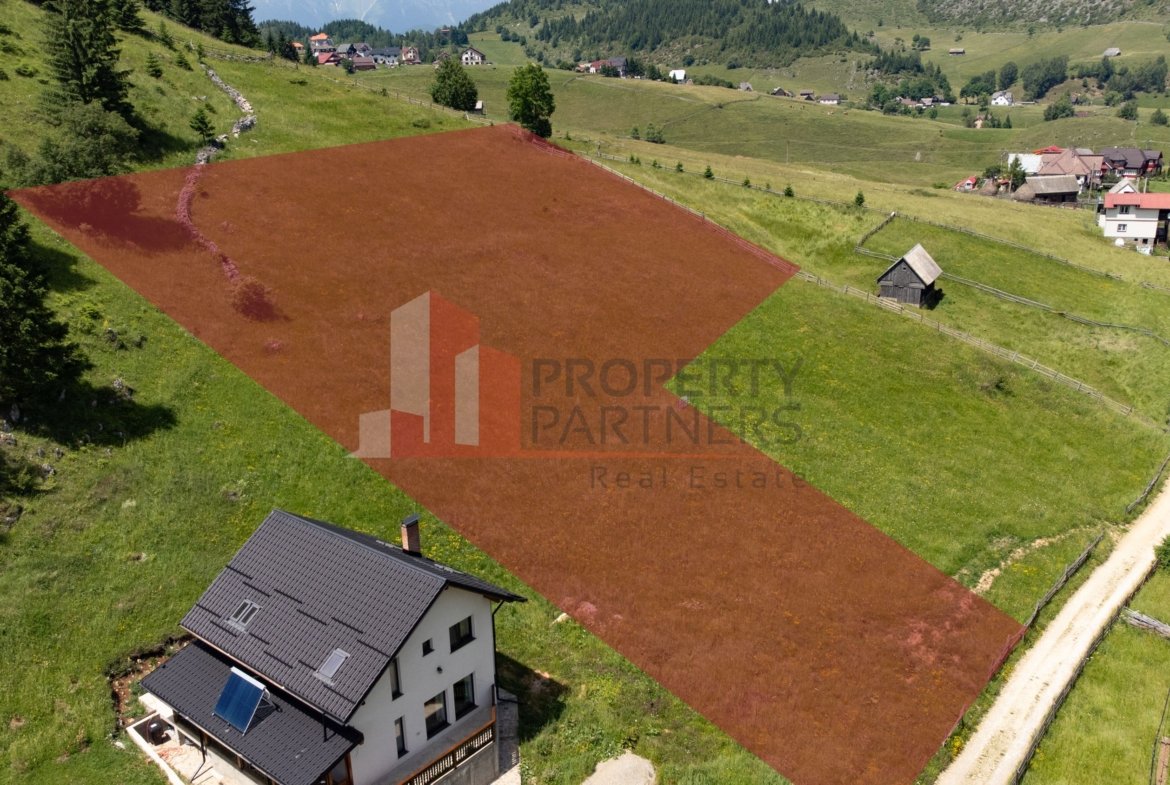 Teren Fundatica intravilan 4500 mp