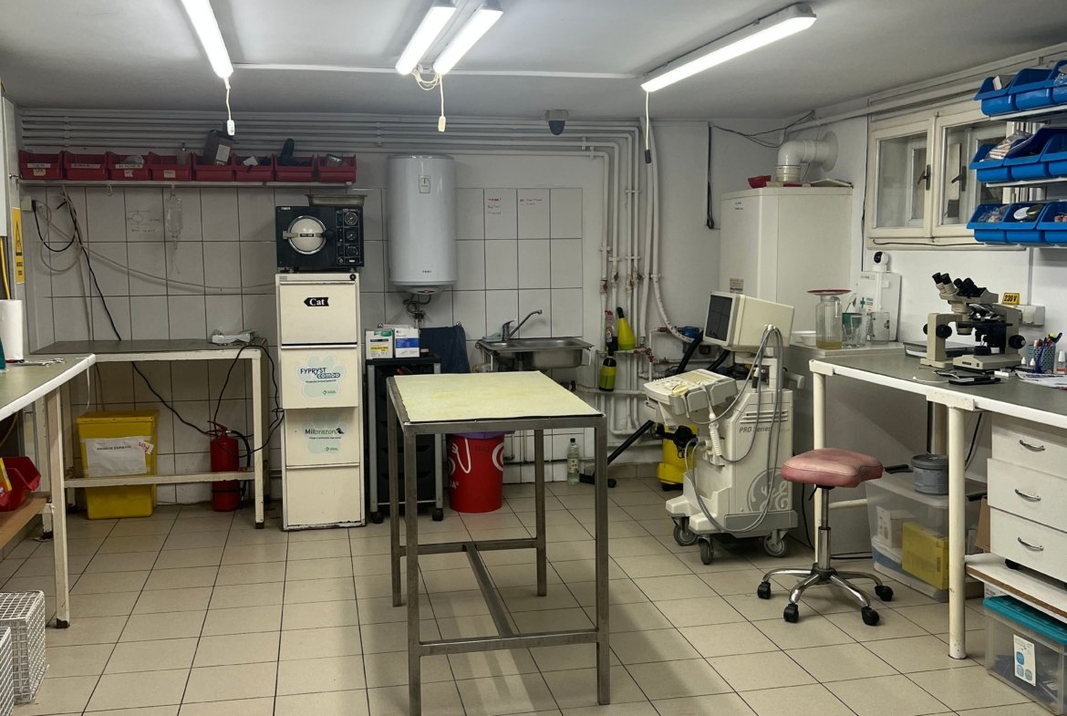 Imobil multifuncțional, 450 mp utili, teren 640 mp, Torontalului