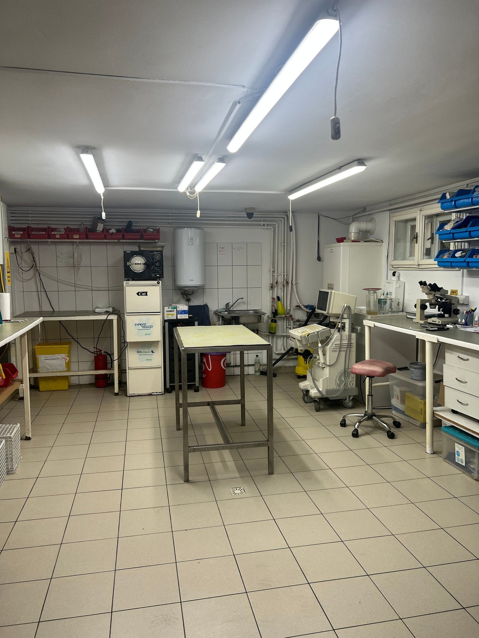 b1b0844babeb4aa0ac20da73d212d5b1 Imobil multifuncțional, 450 mp utili, teren 640 mp, Torontalului