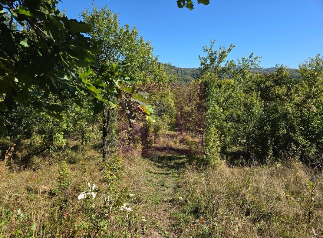 Teren extravilan de 10.452 mp de vanzare in Lunca Mare