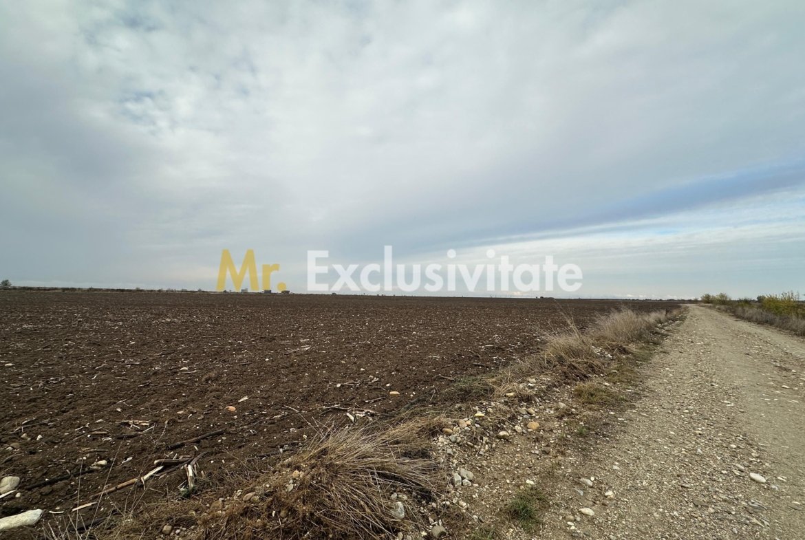 Teren extravilan de vânzare – în apropierea autostrăzii A1, km 80