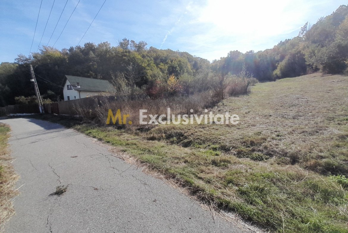 TEREN DE VANZARE IN BABANA, ARGES,  LANGA PADURE