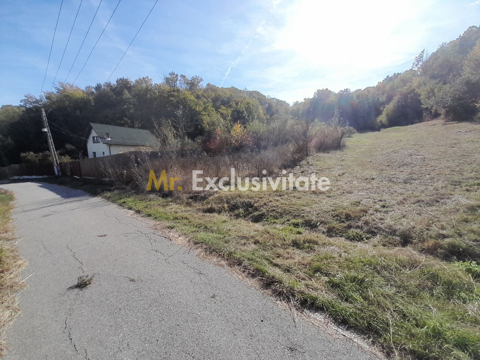 b96759fa1c8b45b494b1e5a63f10d757 TEREN DE VANZARE IN BABANA, ARGES, LANGA PADURE