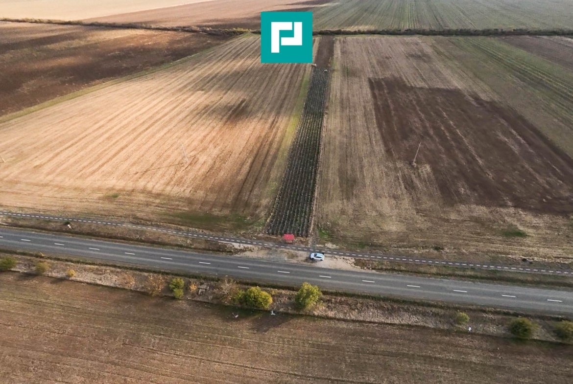 Teren 15.000 mp, Zădăreni, zona Lagermax