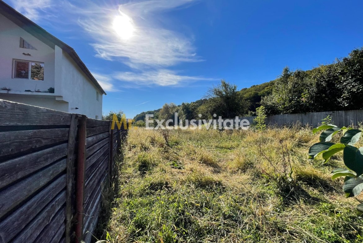 Teren 1220mp intravilan Bascov, AG
