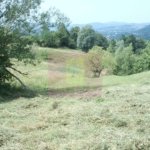 Teren extravilan de vanzare in Telega