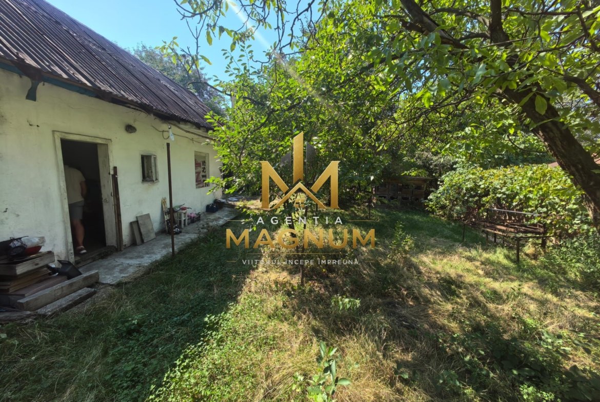 Casă P+M de vânzare | 450 mp teren | Centru Baia Sprie