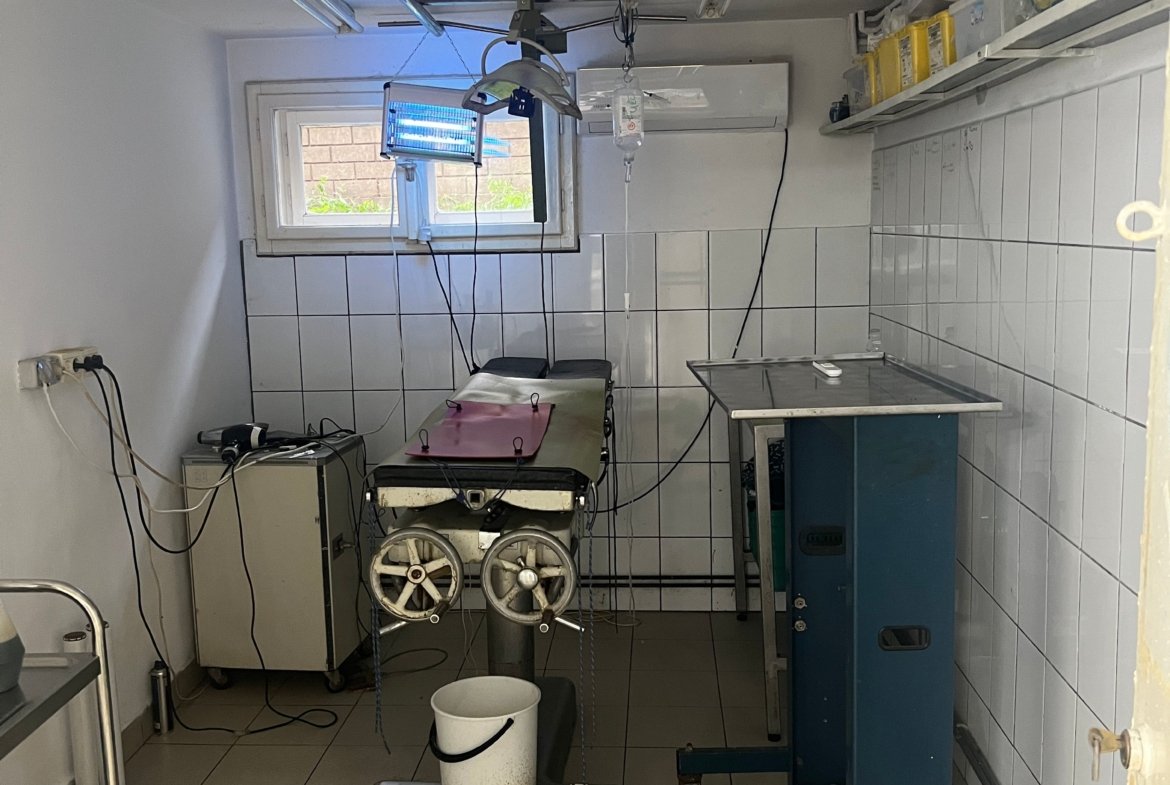 Imobil multifuncțional, 450 mp utili, teren 640 mp, Torontalului