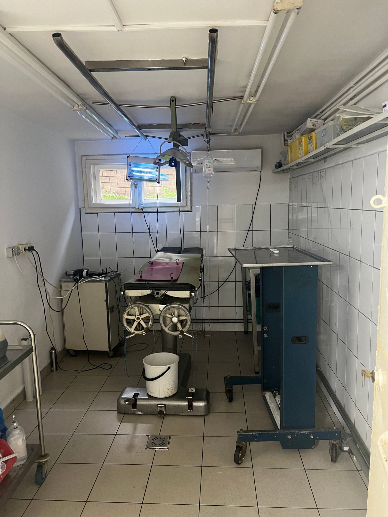 c1ea41dd17824390b148c3a74992bf27 Imobil multifuncțional, 450 mp utili, teren 640 mp, Torontalului