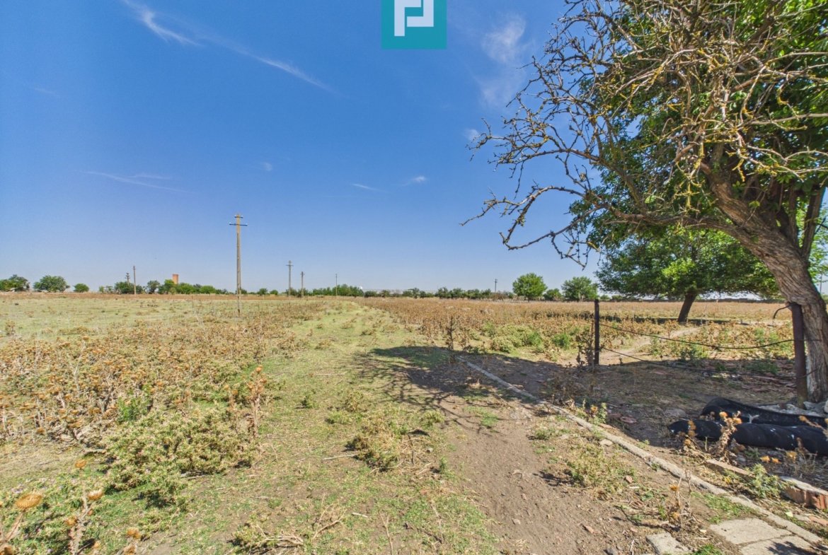 Teren intravilan 146.866 mp | Jimbolia