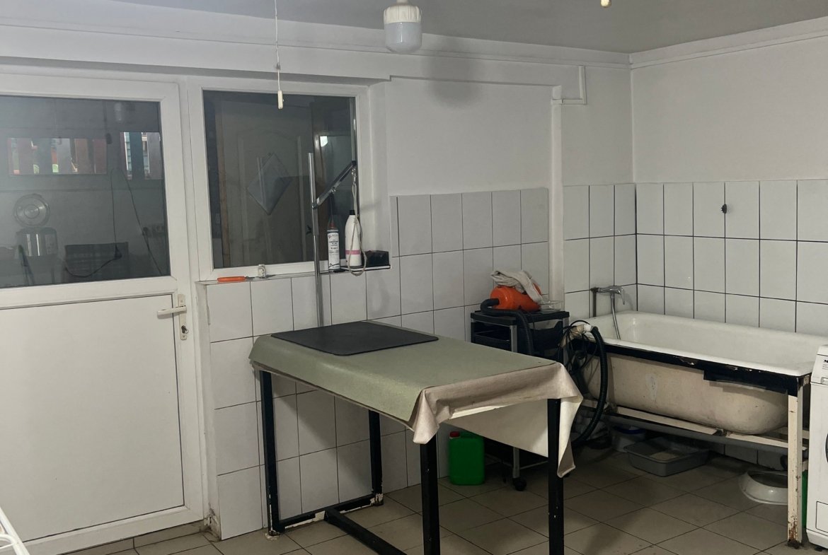 Imobil multifuncțional, 450 mp utili, teren 640 mp, Torontalului