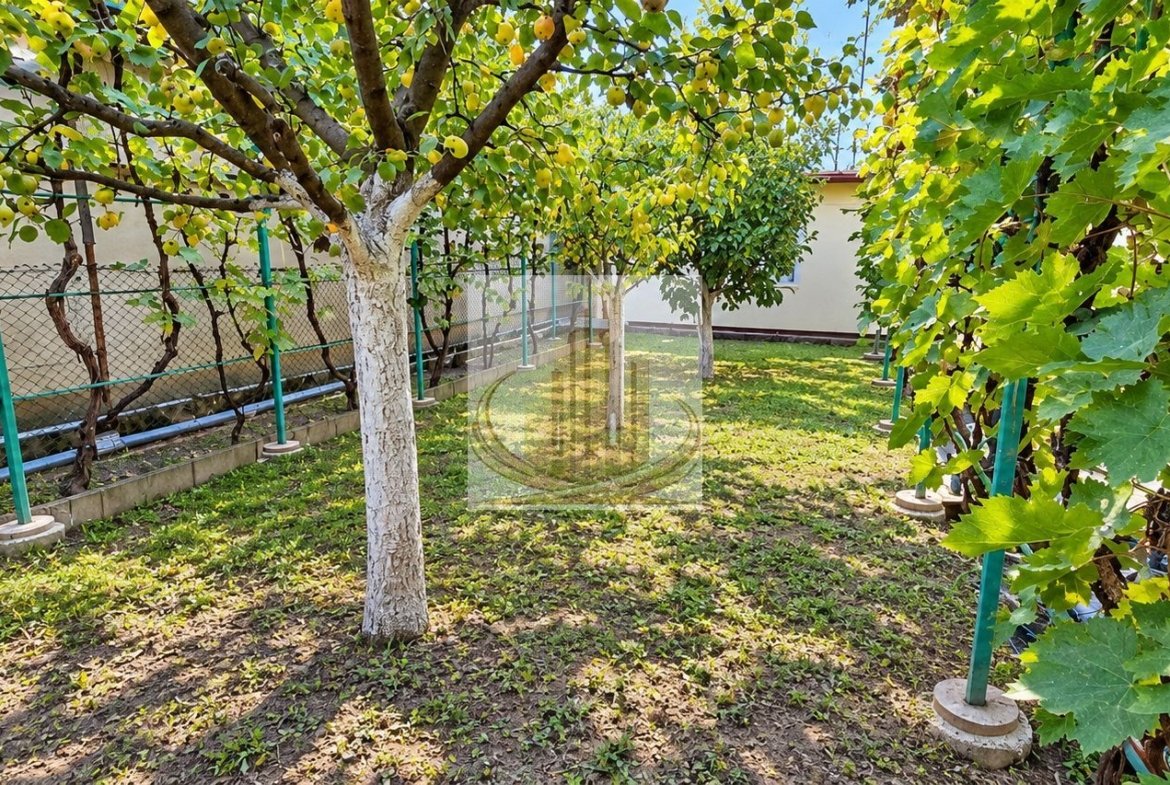 CASĂ INDIVIDUALĂ CU TEREN 430 MP, ZONA PLOPI – TIMIȘOARA