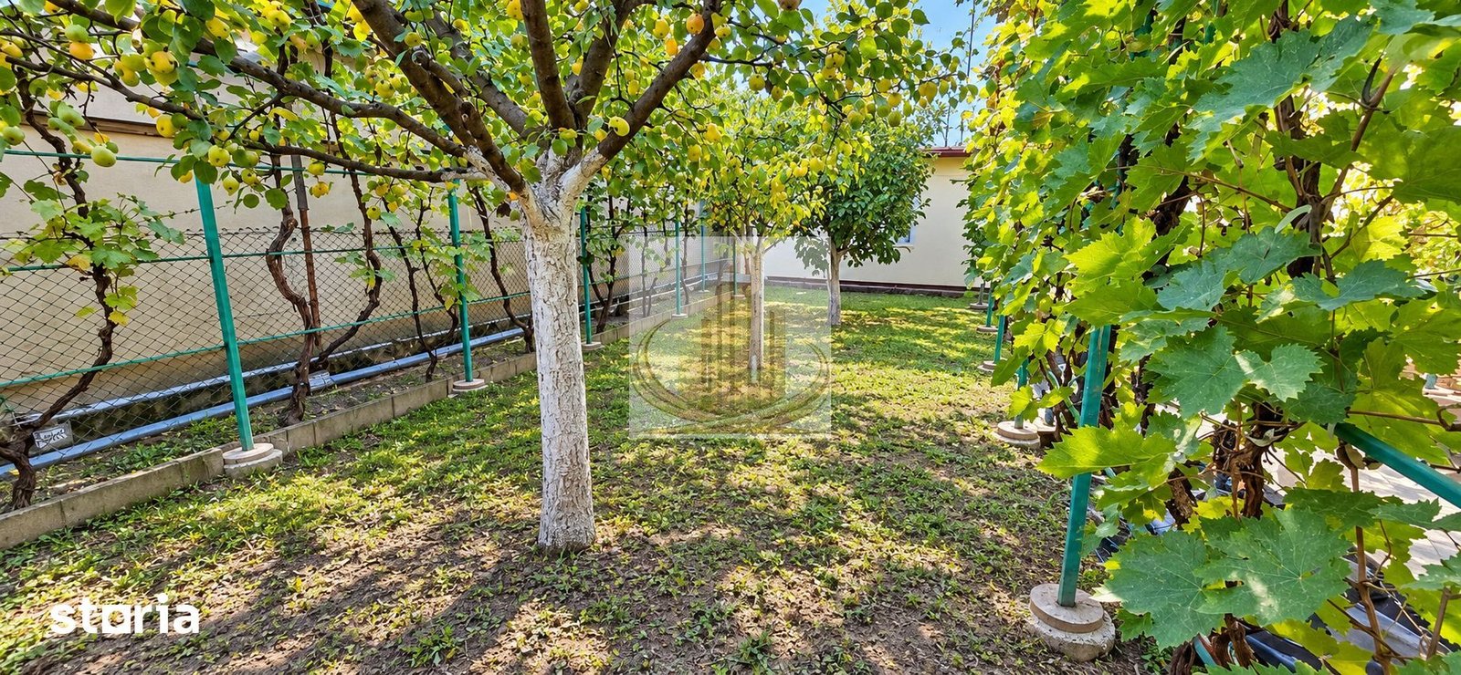 cc495da032804e3984fca094930bba41 CASĂ INDIVIDUALĂ CU TEREN 430 MP, ZONA PLOPI – TIMIȘOARA