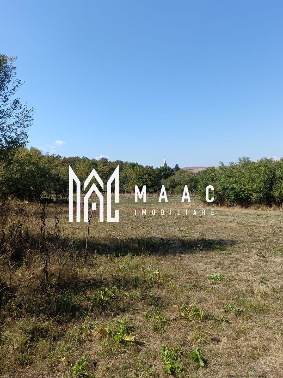 Teren  1000 mp, județul Sibiu, localitatea Amnas, pretabil A frame