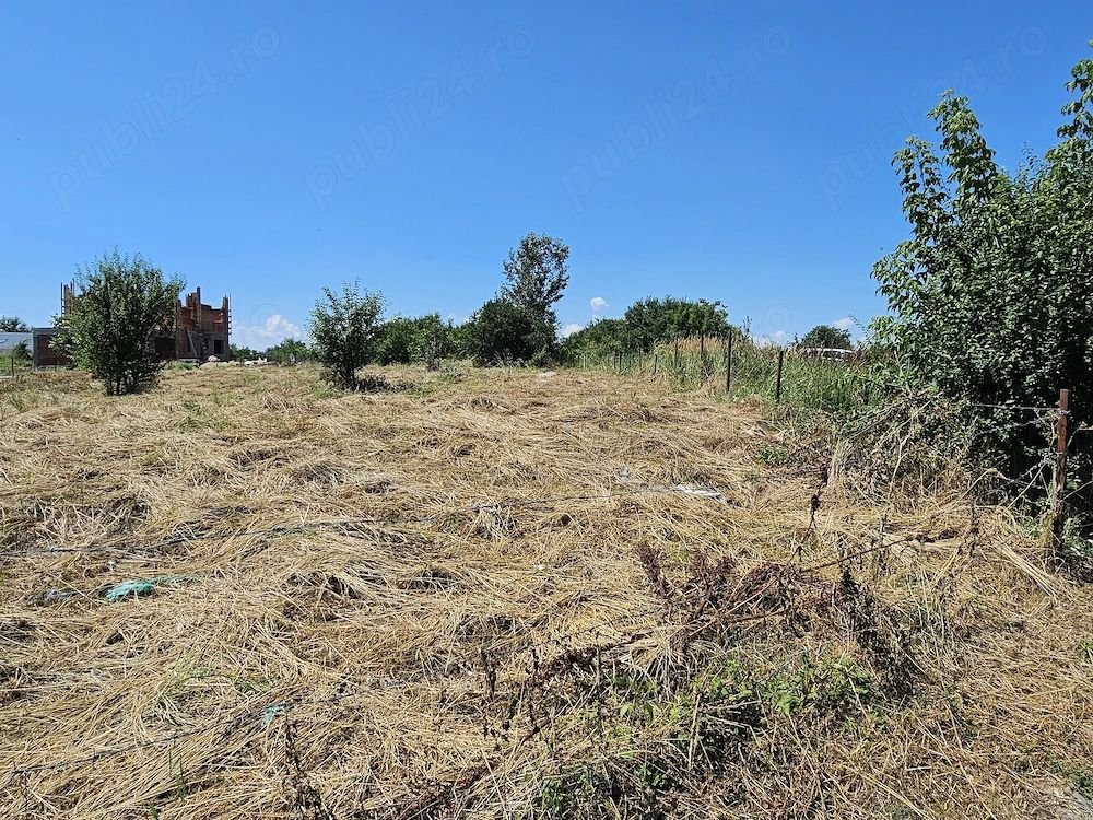 Teren Intravilan 5.000 mp București, Sector 6 (Giulești-Sârbi)