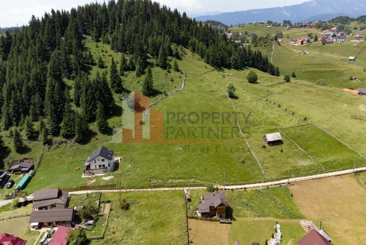 Teren Fundatica intravilan 4500 mp