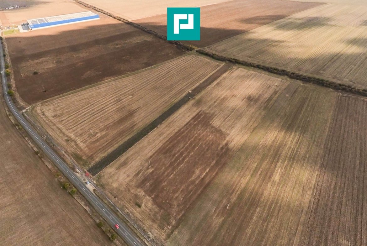 Teren 15.000 mp, Zădăreni, zona Lagermax