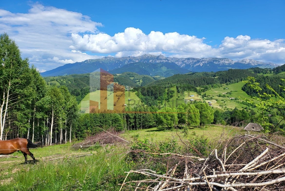 Teren Drumul Carului, Moieciu Suprafață: 29.595 mp |