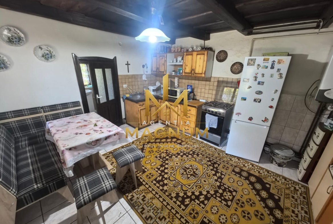 Casă P+M de vânzare | 450 mp teren | Centru Baia Sprie