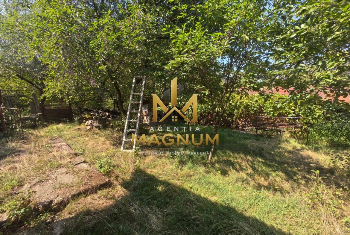 Casă P+M de vânzare | 450 mp teren | Centru Baia Sprie