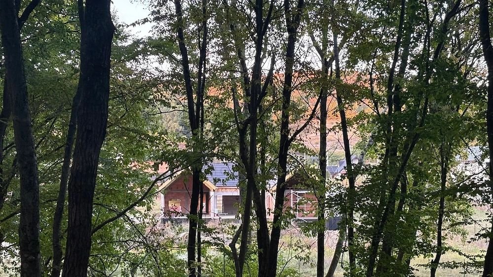 Casa individuala superba, cu arhitectura scandinava, moderna – langa padure, teren generos