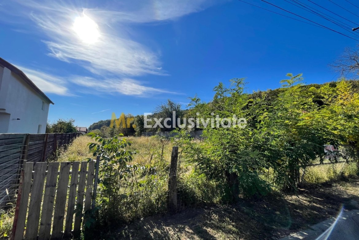 Teren 1220mp intravilan Bascov, AG