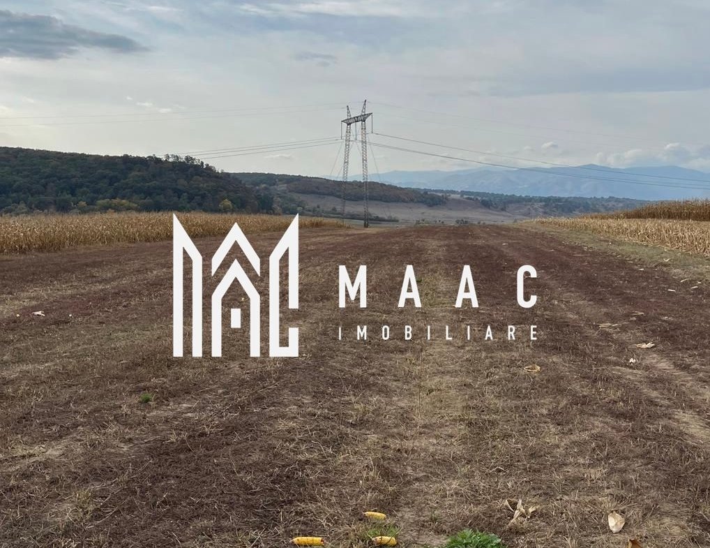 Teren extravilan de vânzare | Daia | 8.000 mp | agricol