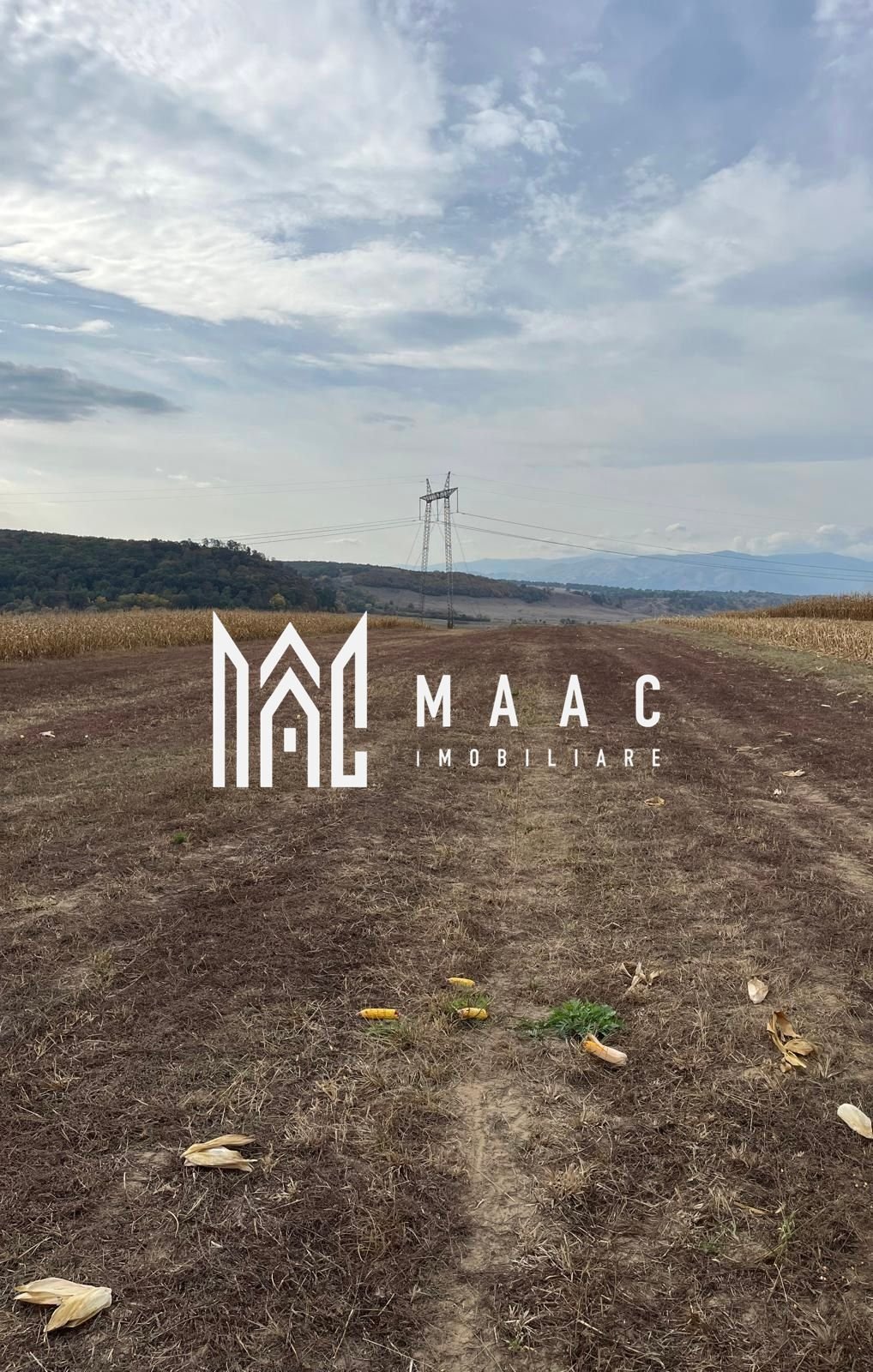 e0c4cc380fea4e9caa509a208d96d83f Teren extravilan de vânzare | Daia | 8.000 mp | agricol
