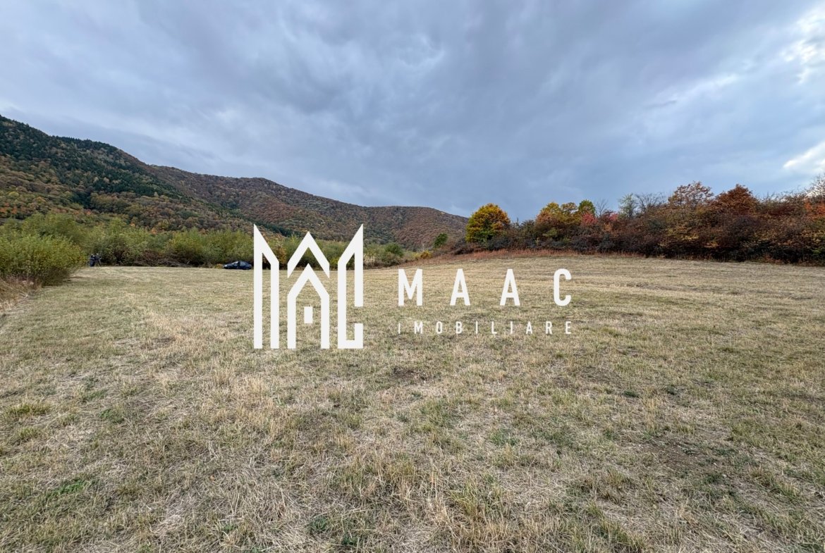 Teren de vânzare 5.000 mp | Poplaca | lângă pădure