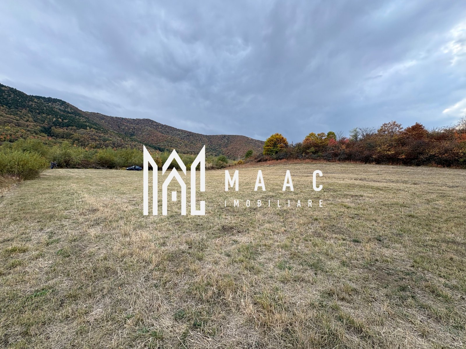 e2da377424a5455dab60037cdaf2b07e Teren de vânzare 5.000 mp | Poplaca | lângă pădure