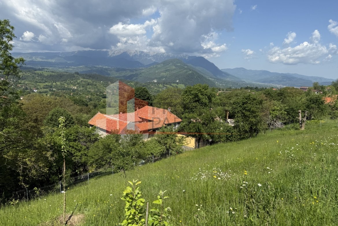 Teren cu priveliște spectaculoasă în Bran – Sohodol