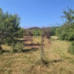 Teren intravilan de vanzare 3375 mp in Brebu
