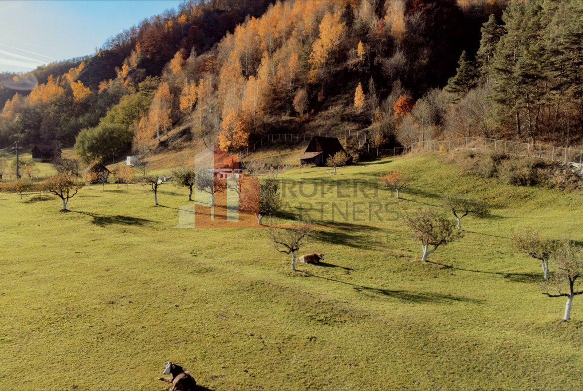 Teren 15.941 mp Moieciu | parcelabil | aproape de Castelul Bran