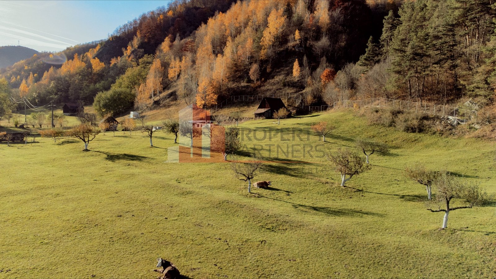 Teren 15.941 mp Moieciu | parcelabil | aproape de Castelul Bran