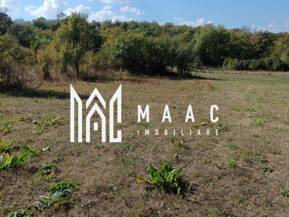 Teren  1000 mp, județul Sibiu, localitatea Amnas, pretabil A frame