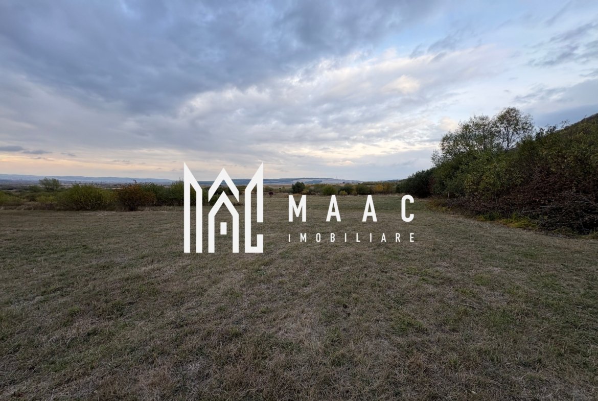 Teren de vânzare 5.000 mp | Poplaca | lângă pădure