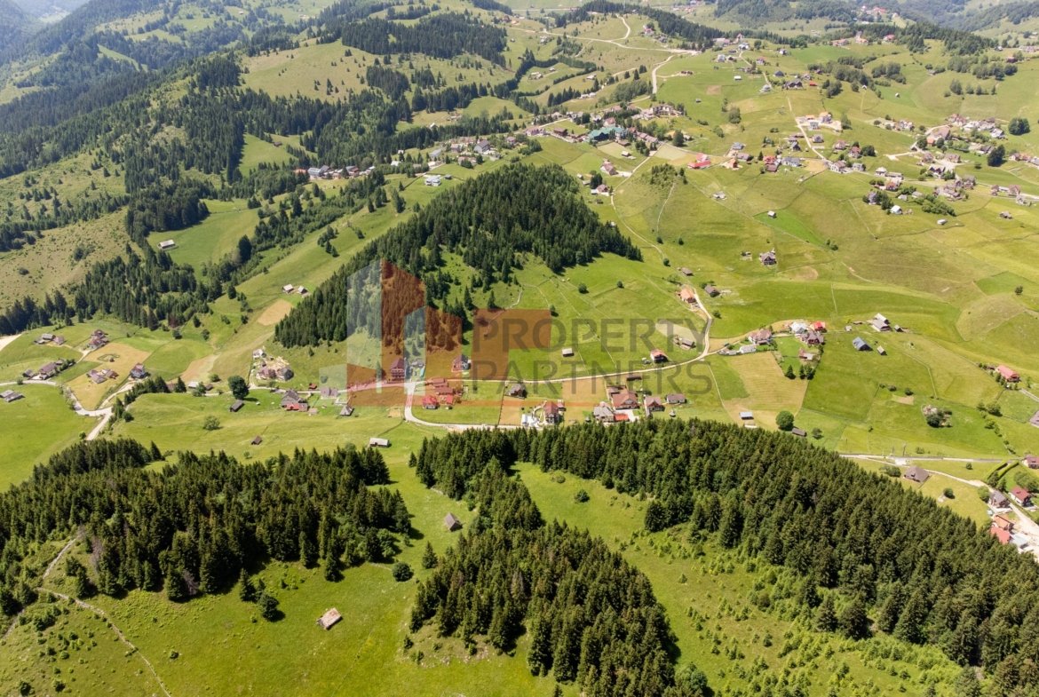 Teren Fundatica intravilan 4500 mp
