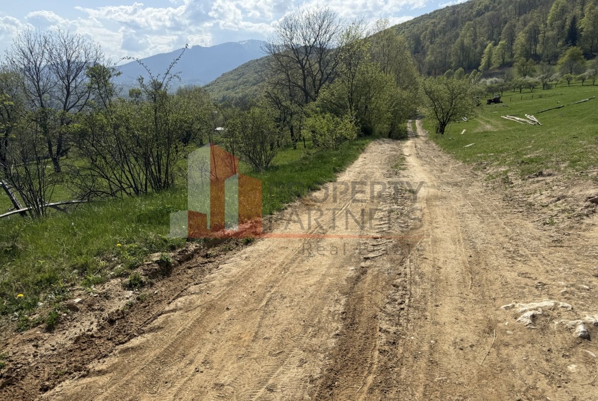 Terenuri Bran – Predelut  Priveliște către Bucegi și Postăvaru