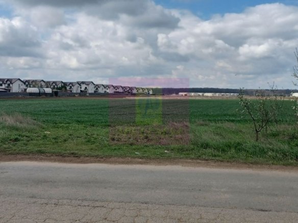 Săbăreni, teren intravilan 1000 mp, cu utilitati în apropiere