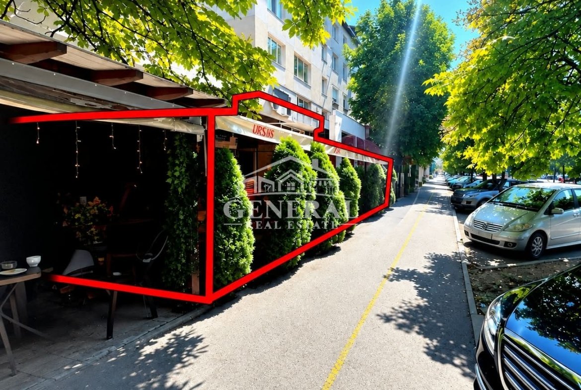 SPATIU de vanzare / inchiriere 177/242m2 pe Bd Decebal Baia Mare