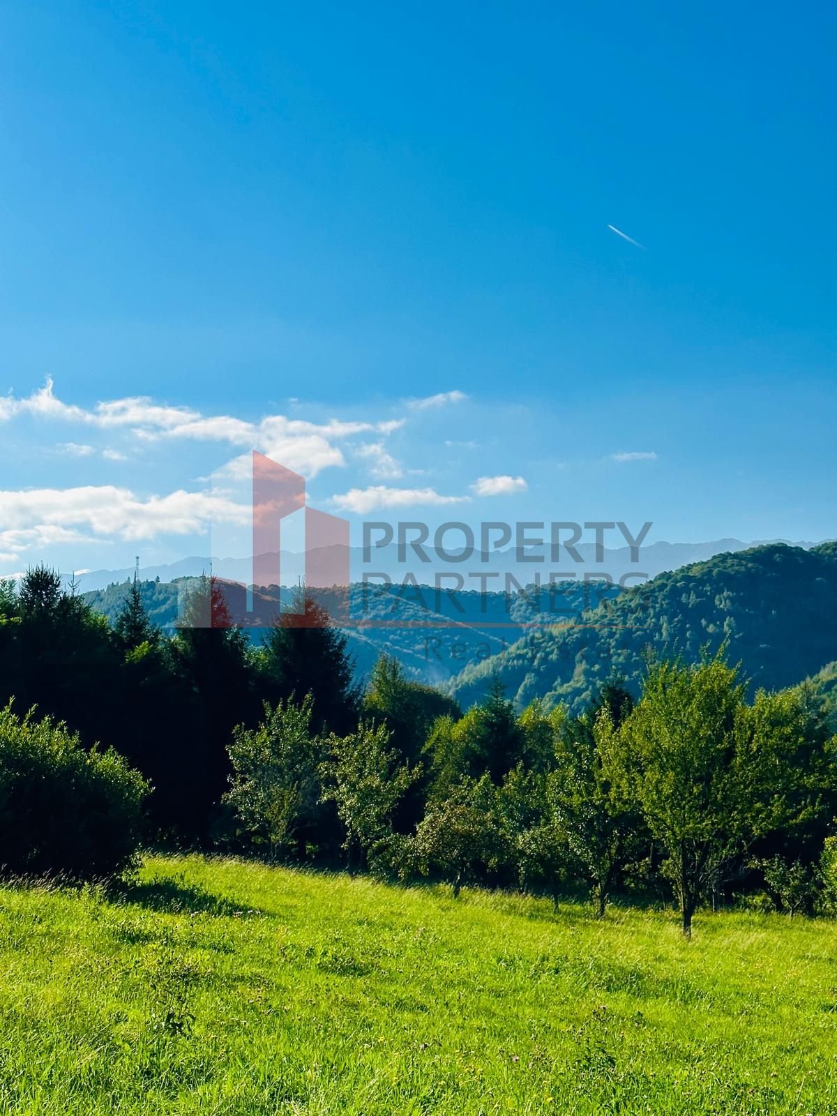 eed70fea3a6f488aaa7caf4308fd145a Teren intravilan Bran 2.772 mp | Vedere Piatra Craiului | Potrivit pentru cabane