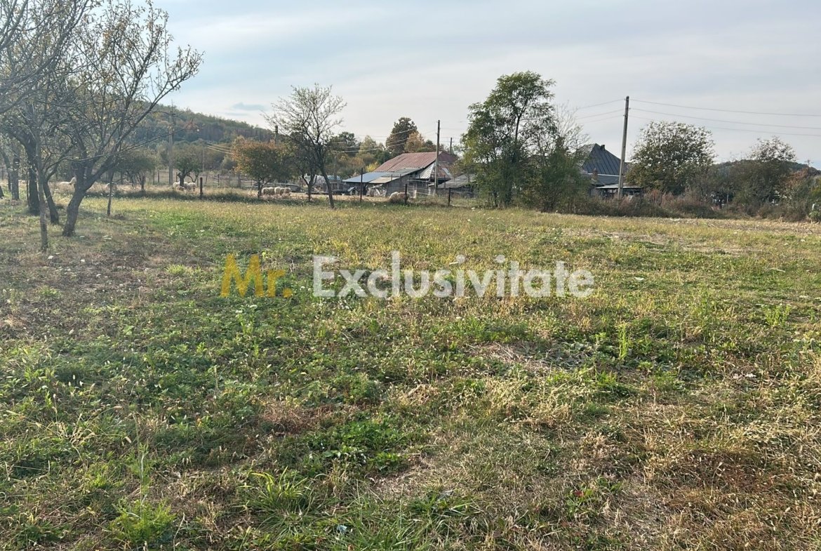 Teren intravilan – 1135 mp – Merisani