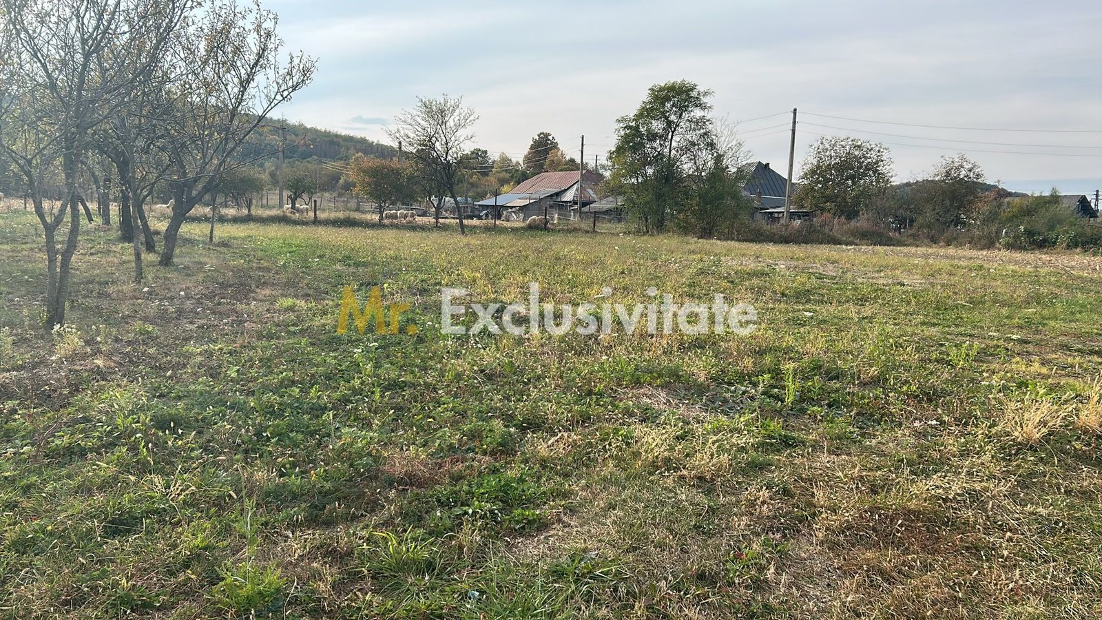 ef0c46baeaef4a2aa7cf0bcf0e321c19 Teren intravilan – 1135 mp – Merisani
