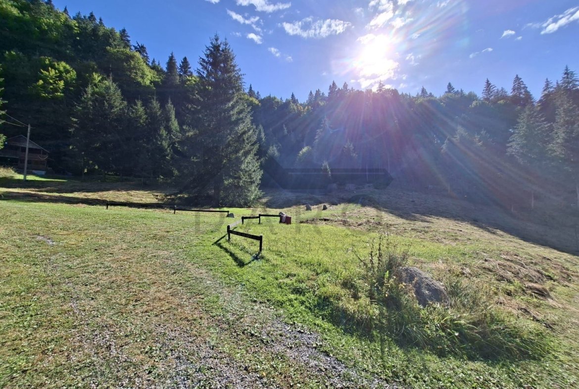 Teren intravilan la munte