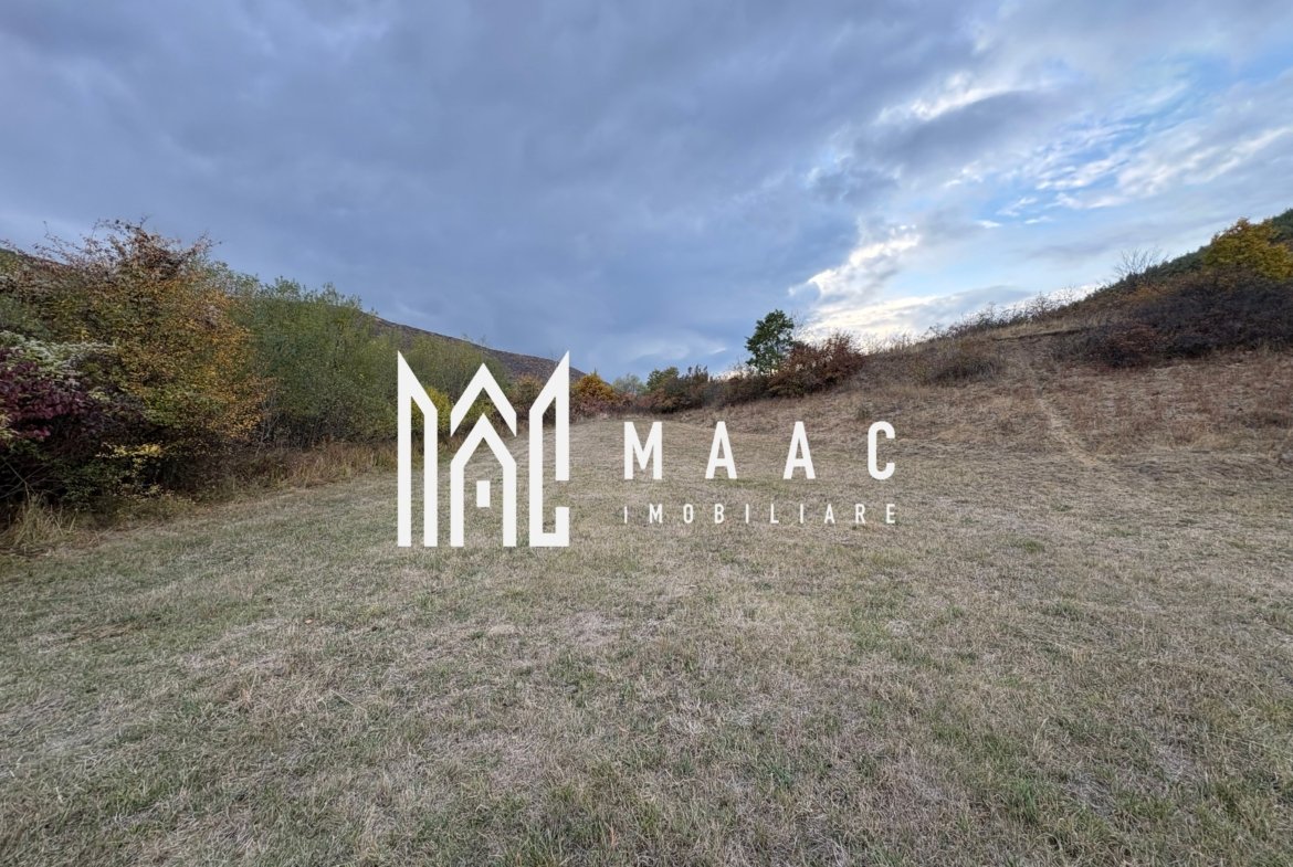Teren de vânzare 5.000 mp | Poplaca | lângă pădure
