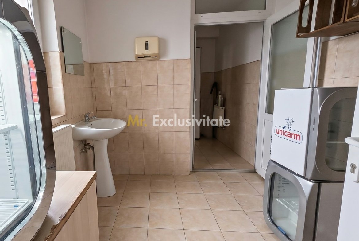 De Vânzare Casă P+M str Vulturului SM